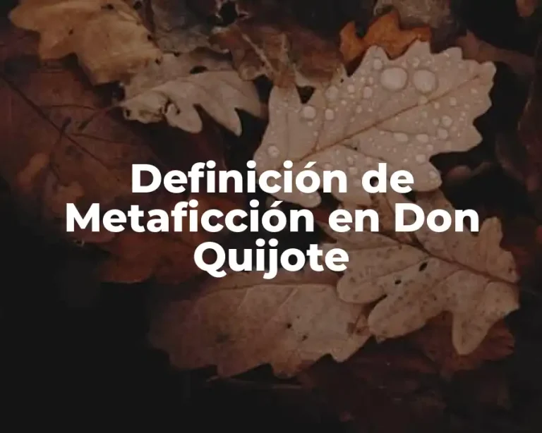 Definición de Metaficción en Don Quijote