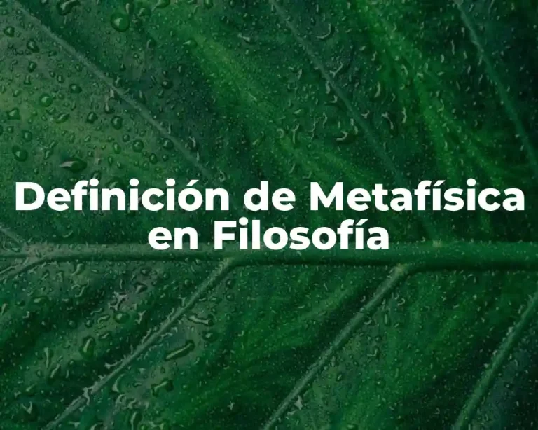 Definición de Metafísica en Filosofía