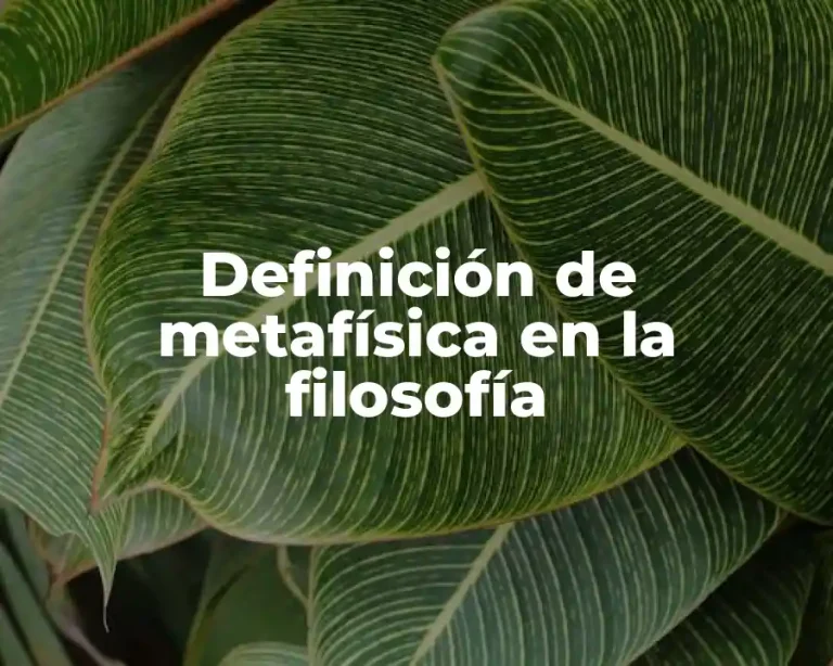 Definición de metafísica en la filosofía