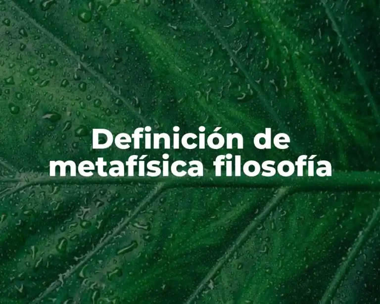 Definición de metafísica filosofía