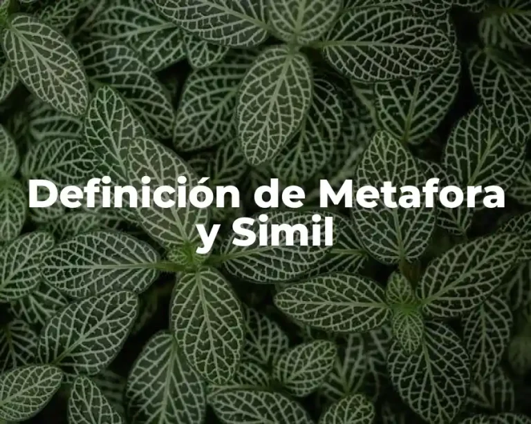 Definición de Metafora y Simil