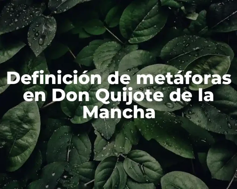 Definición de metáforas en Don Quijote de la Mancha