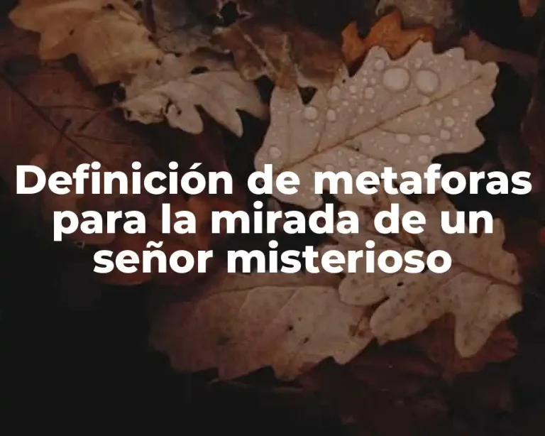 Definición de metaforas para la mirada de un señor misterioso