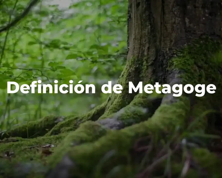 Definición de Metagoge