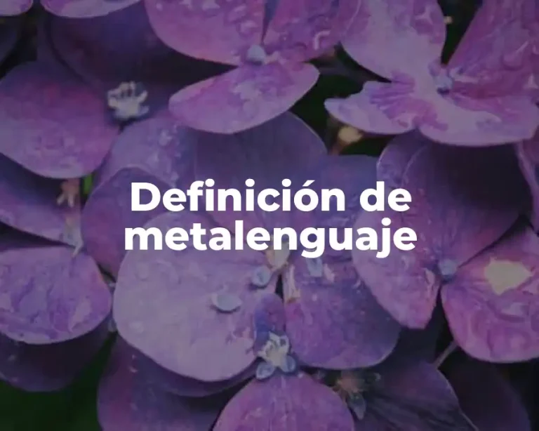 Definición de metalenguaje