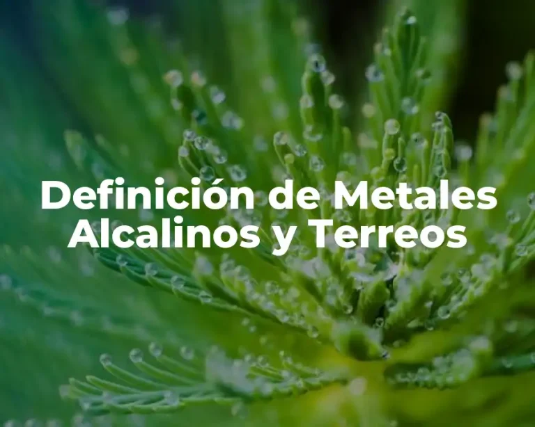 Definición de Metales Alcalinos y Terreos