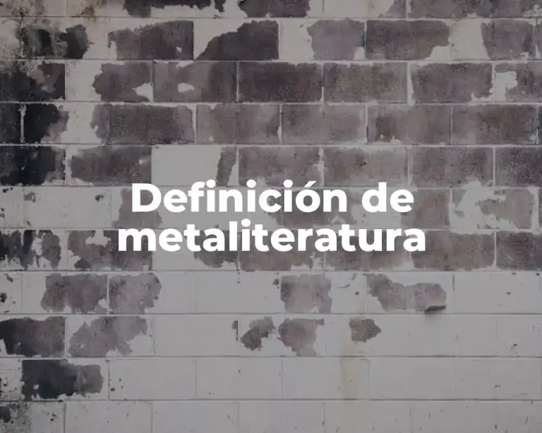 Definición de metaliteratura