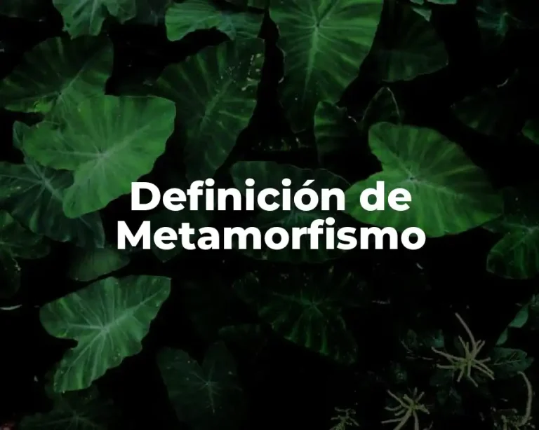 Definición de Metamorfismo