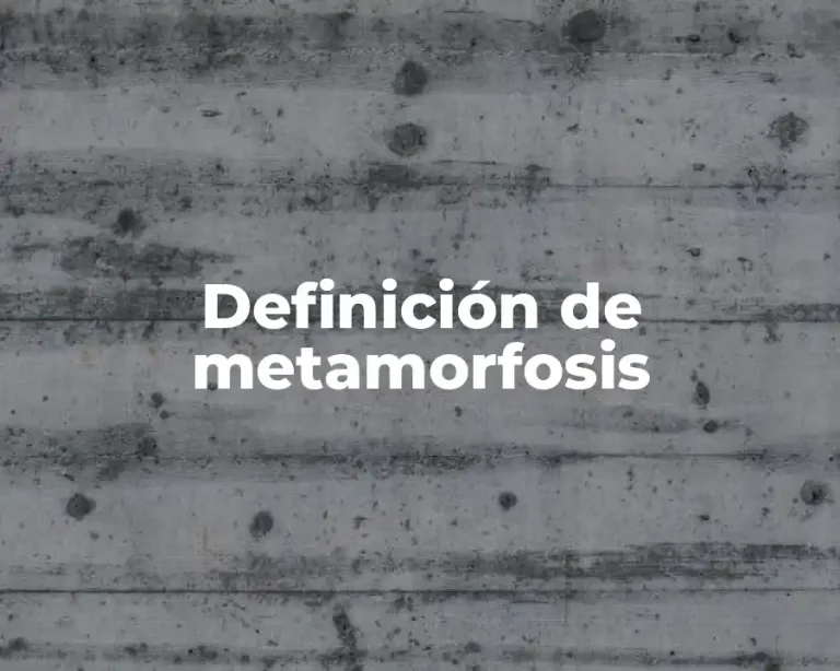 Definición de metamorfosis