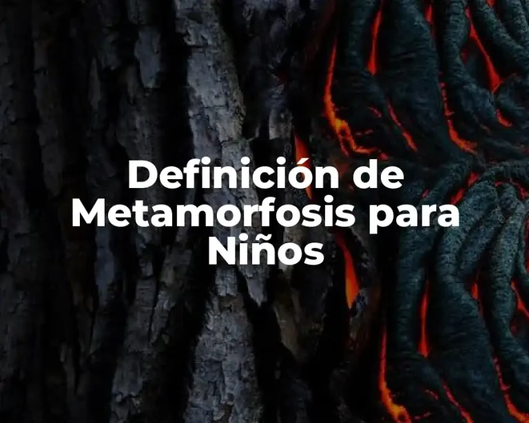 Definición de Metamorfosis para Niños