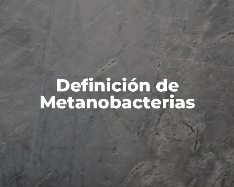 Definición de Metanobacterias