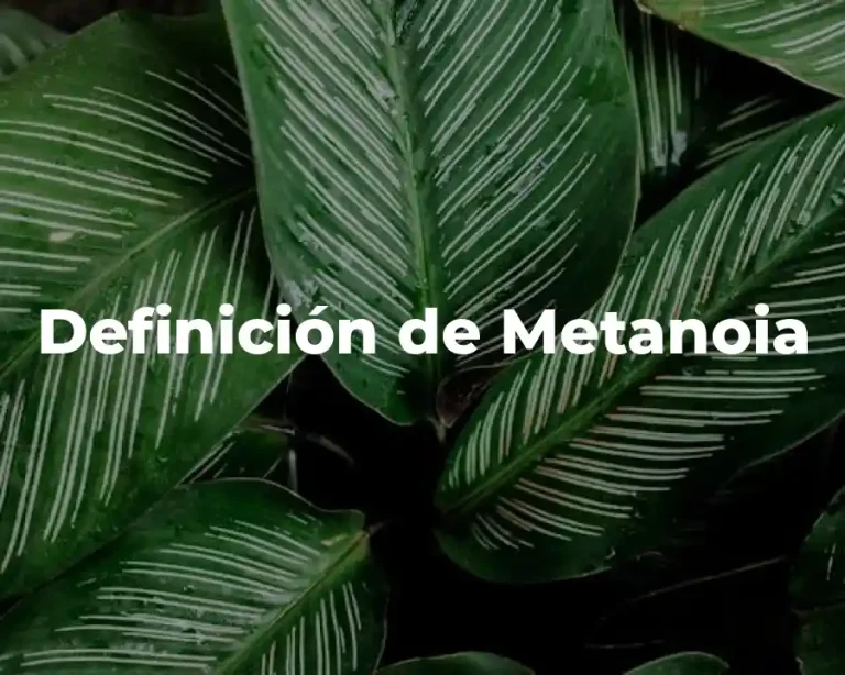 Definición de Metanoia