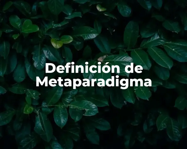 Definición de Metaparadigma