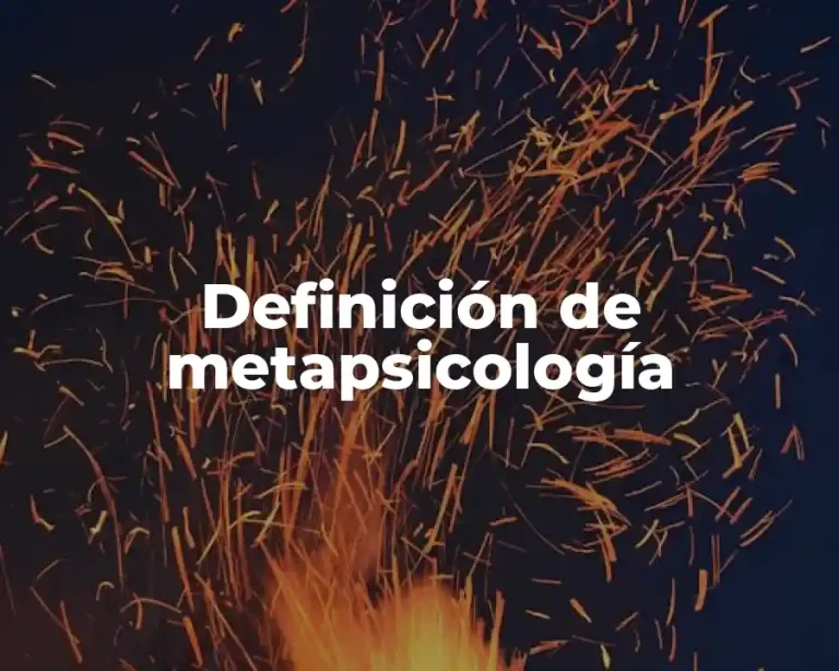 Definición de metapsicología
