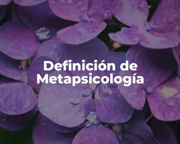 Definición de Metapsicología