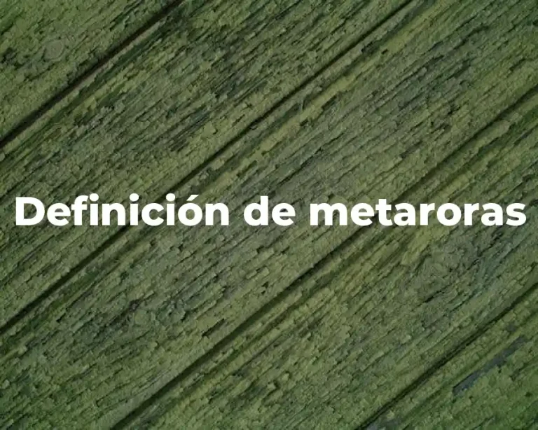 Definición de metaroras