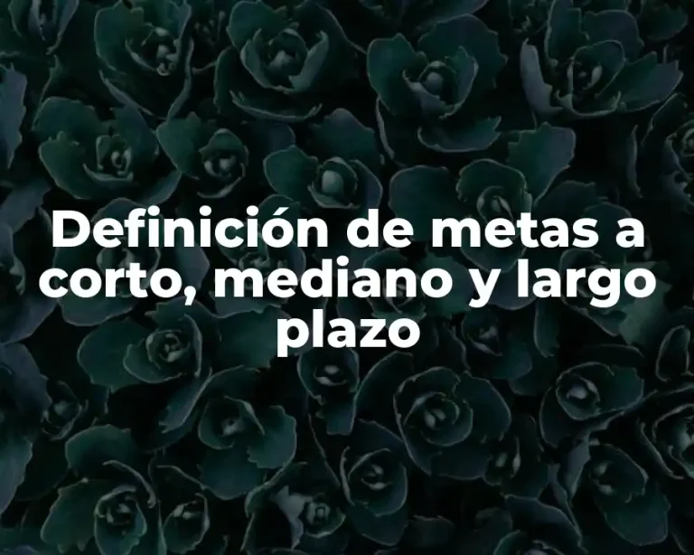 Definición de metas a corto, mediano y largo plazo