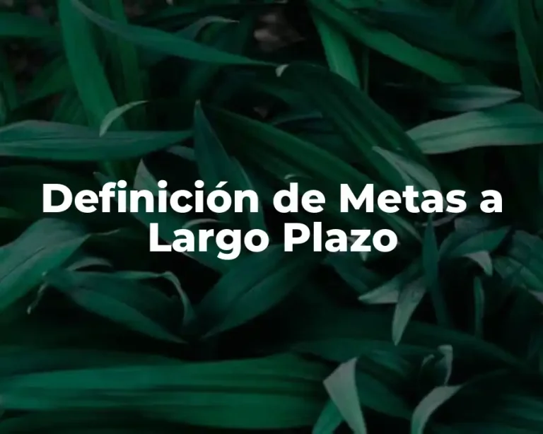 Definición de Metas a Largo Plazo
