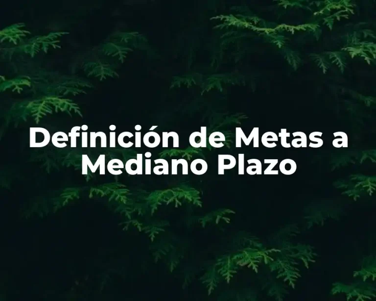 Definición de Metas a Mediano Plazo