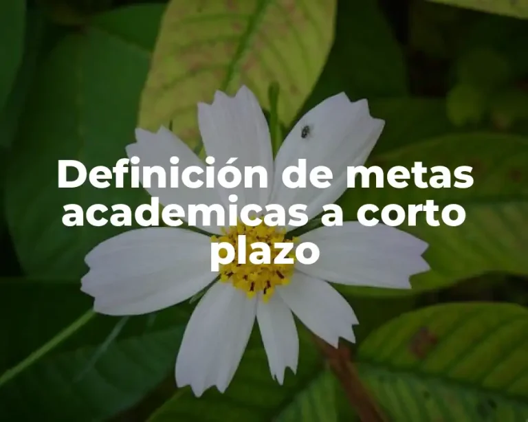 Definición de metas academicas a corto plazo
