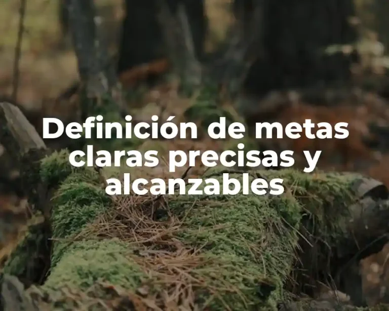 Definición de metas claras precisas y alcanzables