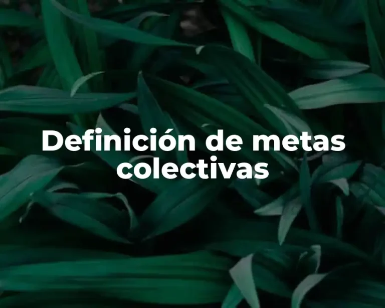 Definición de metas colectivas