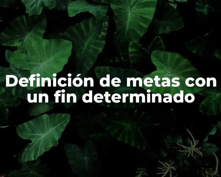 Definición de metas con un fin determinado