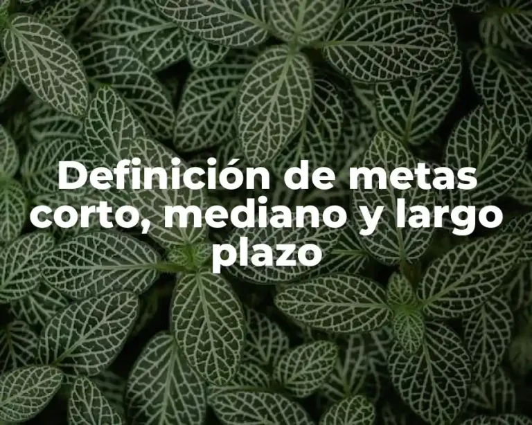 Definición de metas corto, mediano y largo plazo
