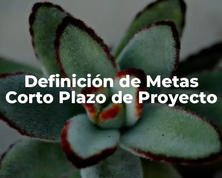 Definición de Metas Corto Plazo de Proyecto
