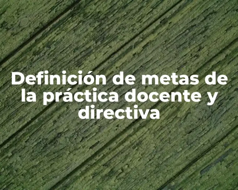 Definición de metas de la práctica docente y directiva