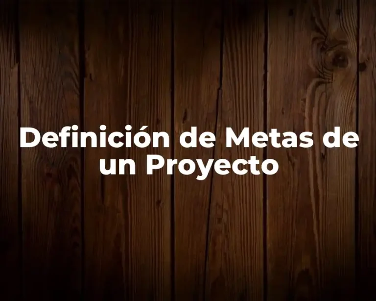 Definición de Metas de un Proyecto