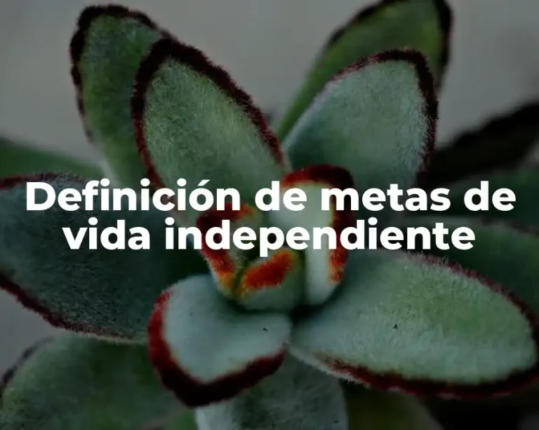 Definición de metas de vida independiente
