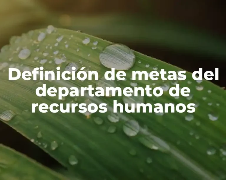 Definición de metas del departamento de recursos humanos