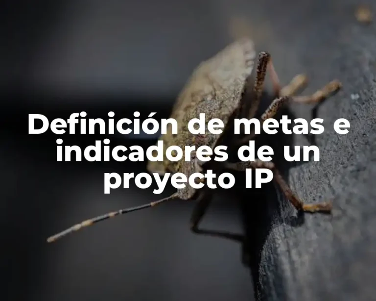 Definición de metas e indicadores de un proyecto IP