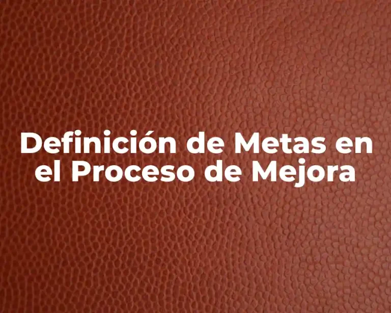 Definición de Metas en el Proceso de Mejora