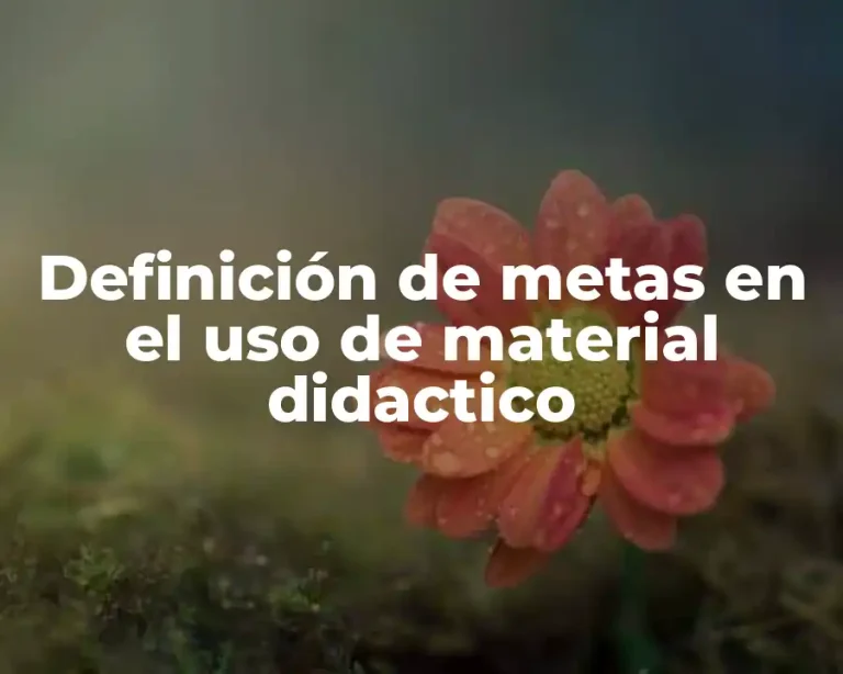 Definición de metas en el uso de material didactico