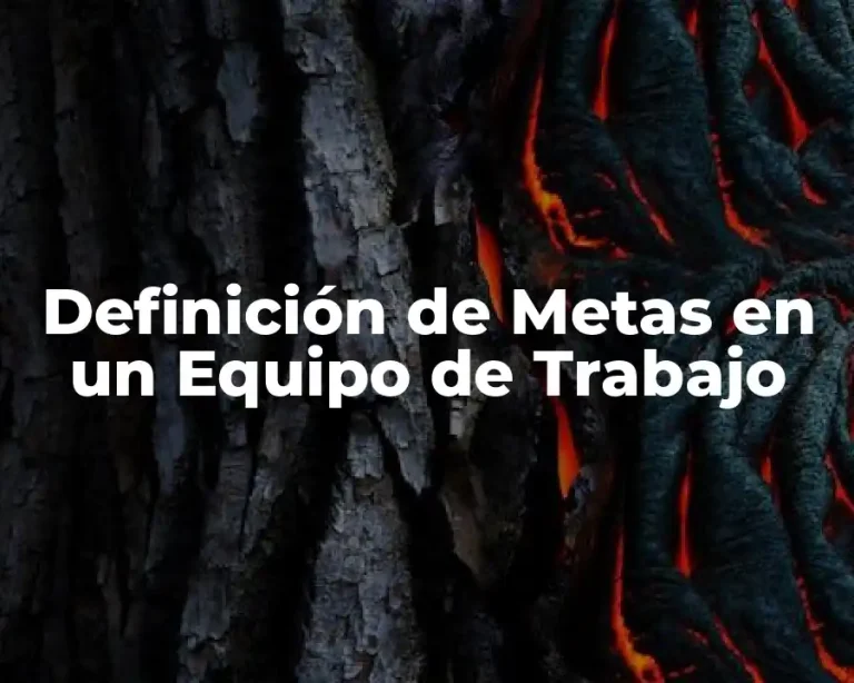 Definición de Metas en un Equipo de Trabajo