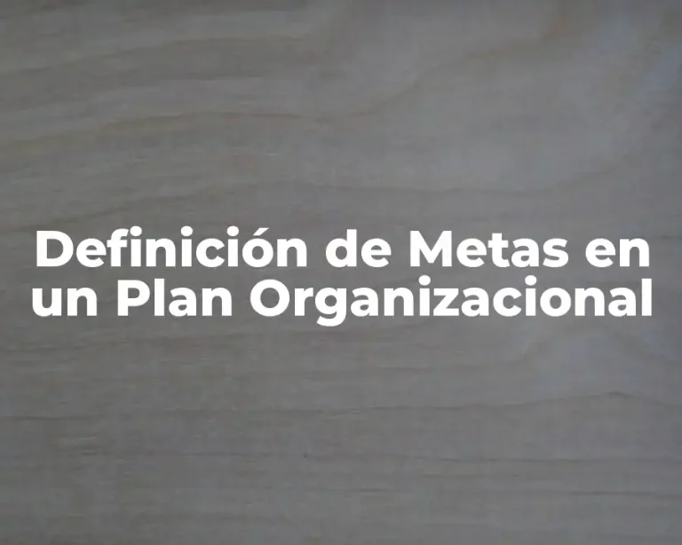 Definición de Metas en un Plan Organizacional