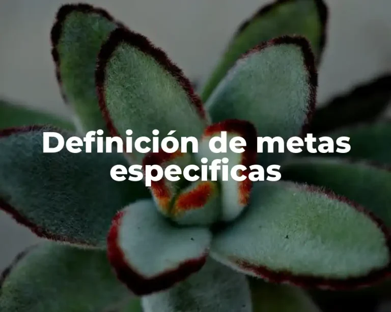 Definición de metas especificas