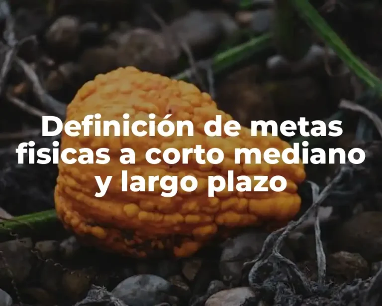 Definición de metas fisicas a corto mediano y largo plazo