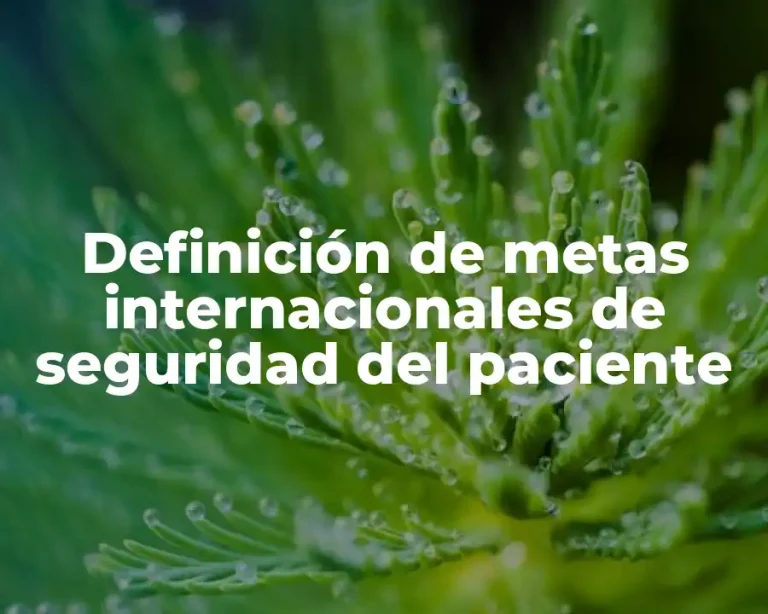 Definición de metas internacionales de seguridad del paciente
