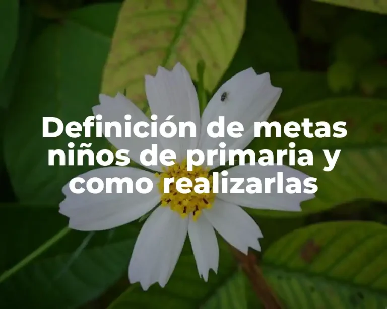 Definición de metas niños de primaria y como realizarlas