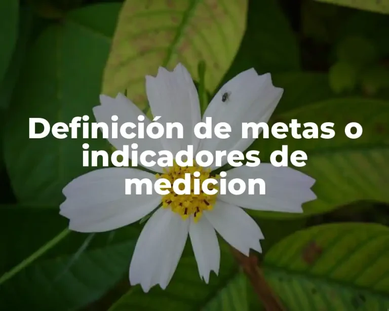 Definición de metas o indicadores de medicion