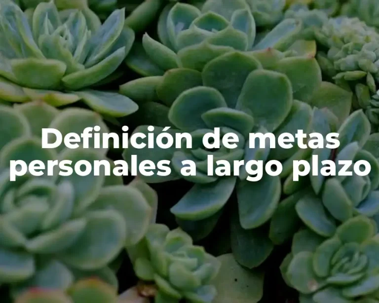 Definición de metas personales a largo plazo