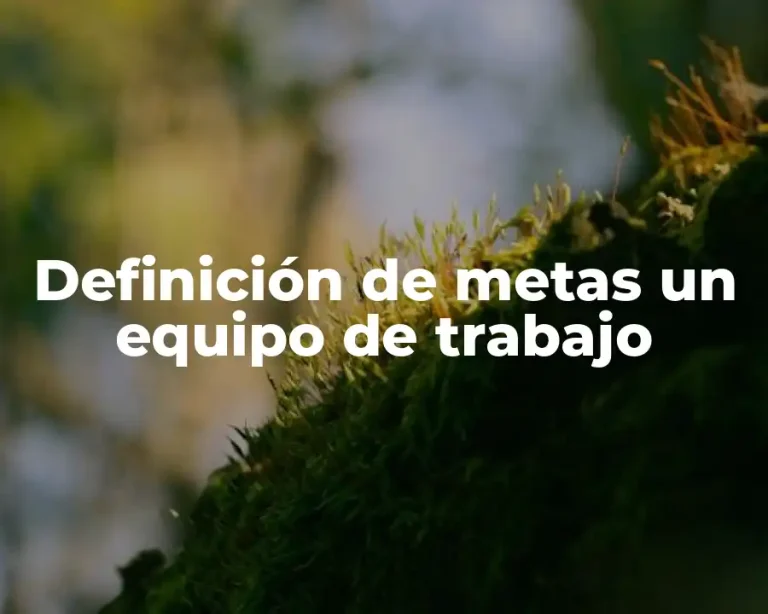 Definición de metas un equipo de trabajo