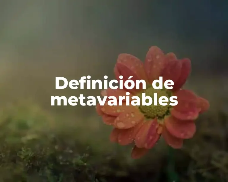 Definición de metavariables