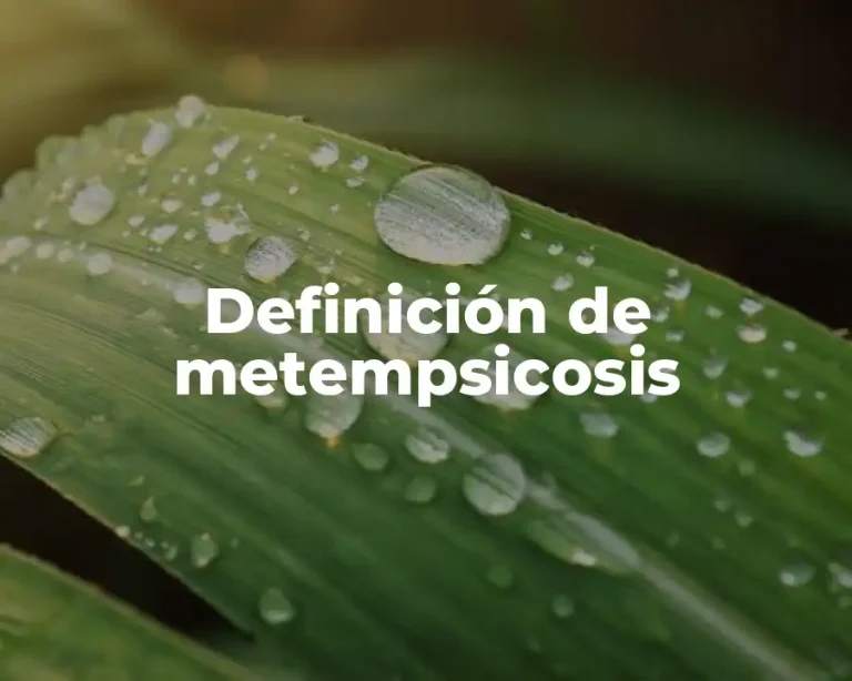 Definición de metempsicosis
