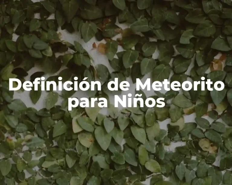 Definición de Meteorito para Niños