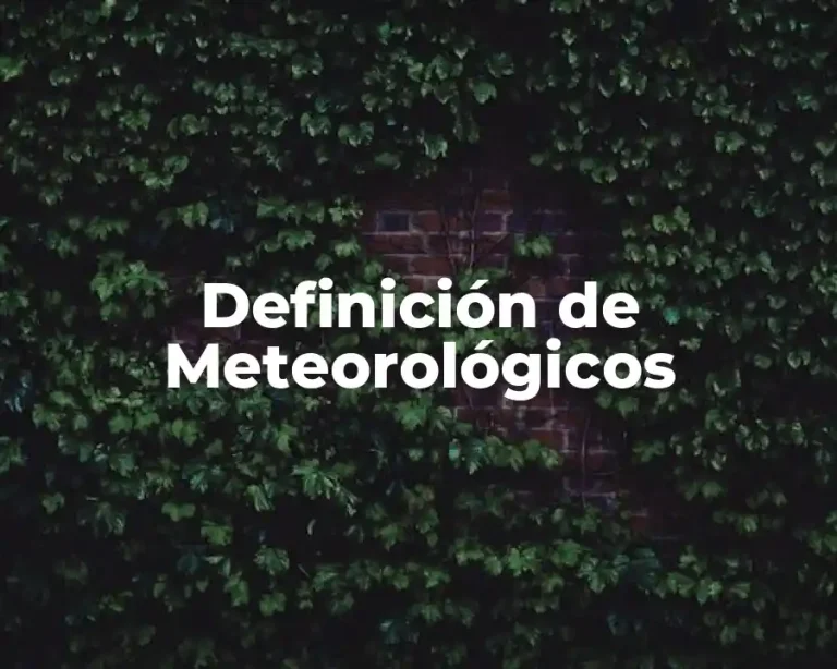 Definición de Meteorológicos