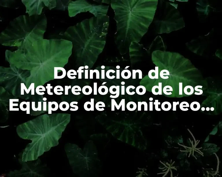 Definición de Metereológico de los Equipos de Monitoreo Atmosférico